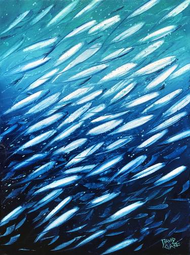 Original Fish Paintings by David Clare