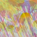 Go with the flow by Evelien van der Zaken