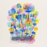 Colourful world by Evelien van der Zaken