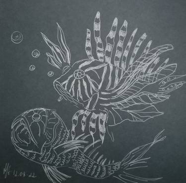 Original Figurative Fish Drawings by MARIA MEDVEDEVA