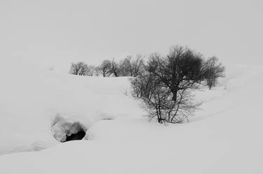 AMONG THE SNOW thumb