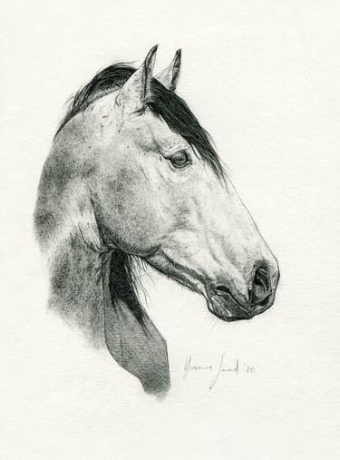 Original Realism Horse Drawings by Yasmine Saad