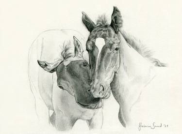 Original Horse Drawings by Yasmine Saad