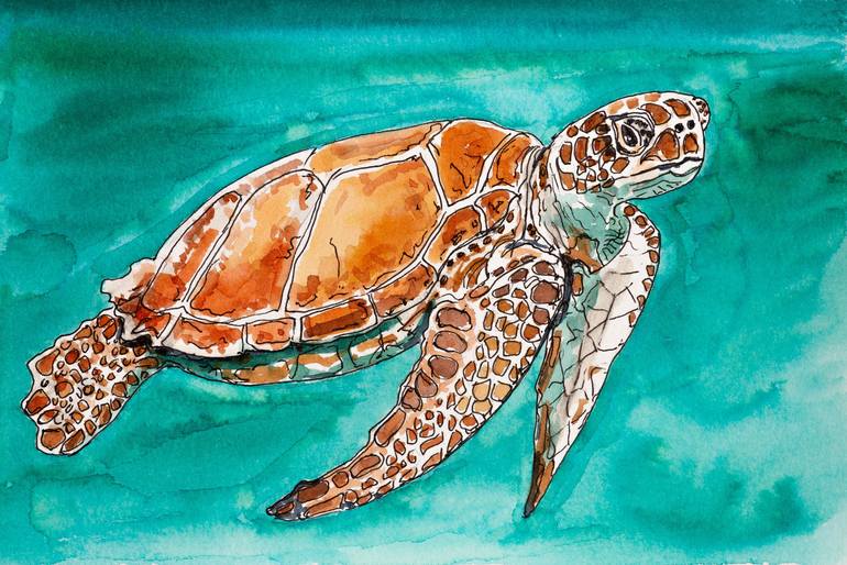 Swimming Sea Turtle Drawing by Melissa Gerhold | Saatchi Art