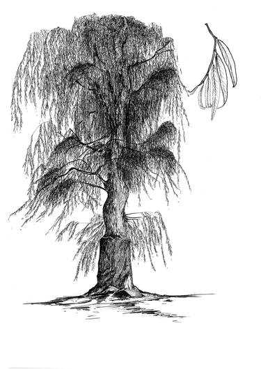 Weeping Willow Tree thumb