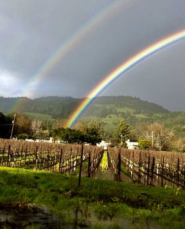 Double Rainbow in Wine Country - Limited Edition of 3 thumb