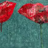 PAPAVER ROJO 002 by Josep Pozo