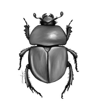 Beetle Bug thumb