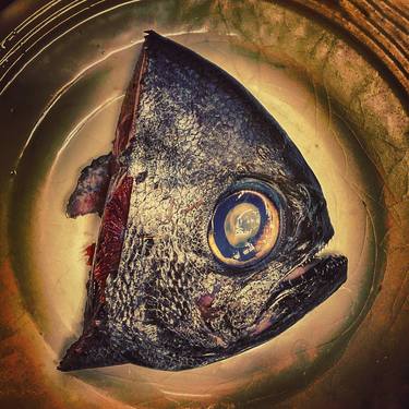 Print of Fish Photography by Elena Kozlova