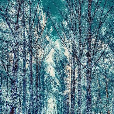 Original Conceptual Abstract Photography by Elena Kozlova