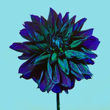 Saatchi Art Artist Baldemar Fierro; Photography, “Blue and Green - Limited Edition of 30” #art