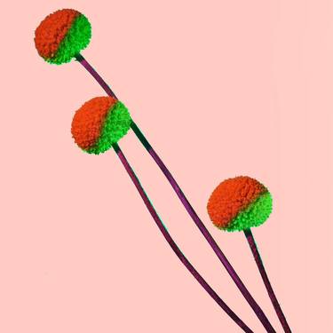 Red, Green and Pink - Limited Edition of 30 thumb