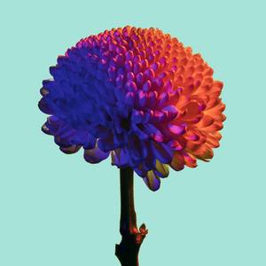 Blue and Red - Limited Edition of 30
