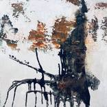 Melting Boundaries by Susan Handau