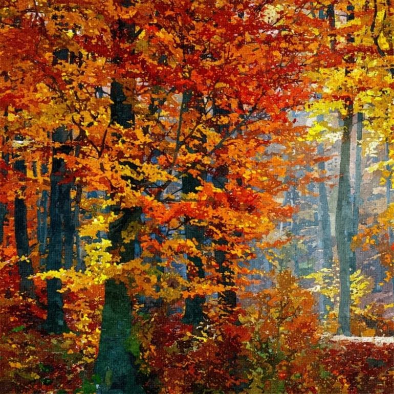 Autumn Trees 