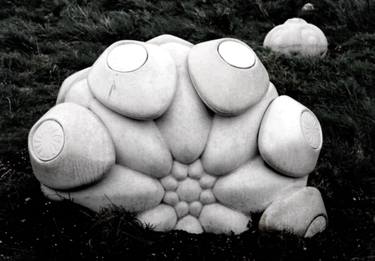 The Coccoliths thumb