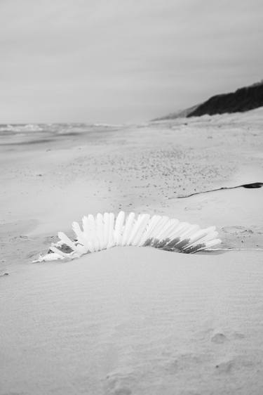 Original Documentary Beach Photography by Mykolas Juodelė