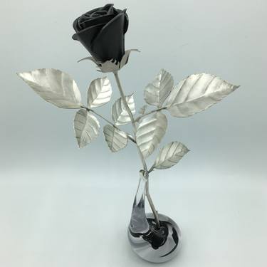 Black Rose thumb