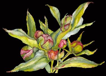 Botanical Artwork No.1, Watercolor Illustration thumb