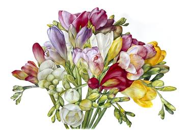Original Fine Art Floral Drawings by Anna Lyashenko