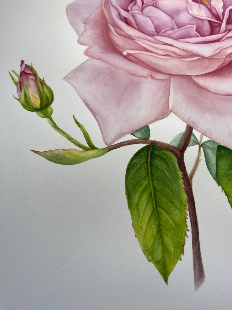 Original Photorealism Botanic Painting by Anna Lyashenko