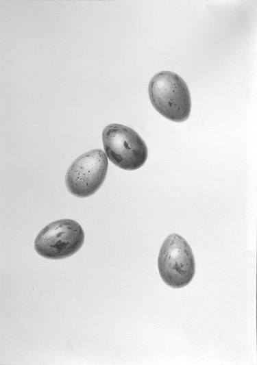 Original Black & White Politics Drawing by Anna Lyashenko