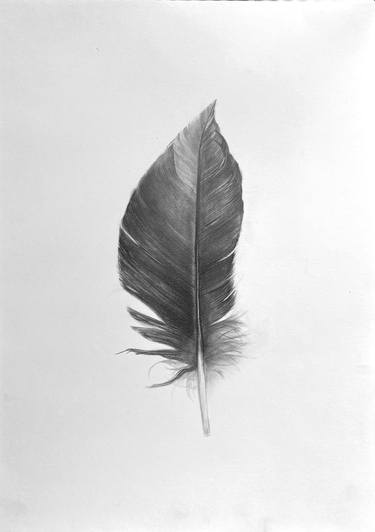 Original Black & White Animal Drawing by Anna Lyashenko