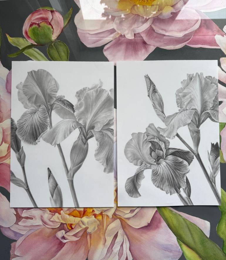 Original Black & White Floral Drawing by Anna Lyashenko