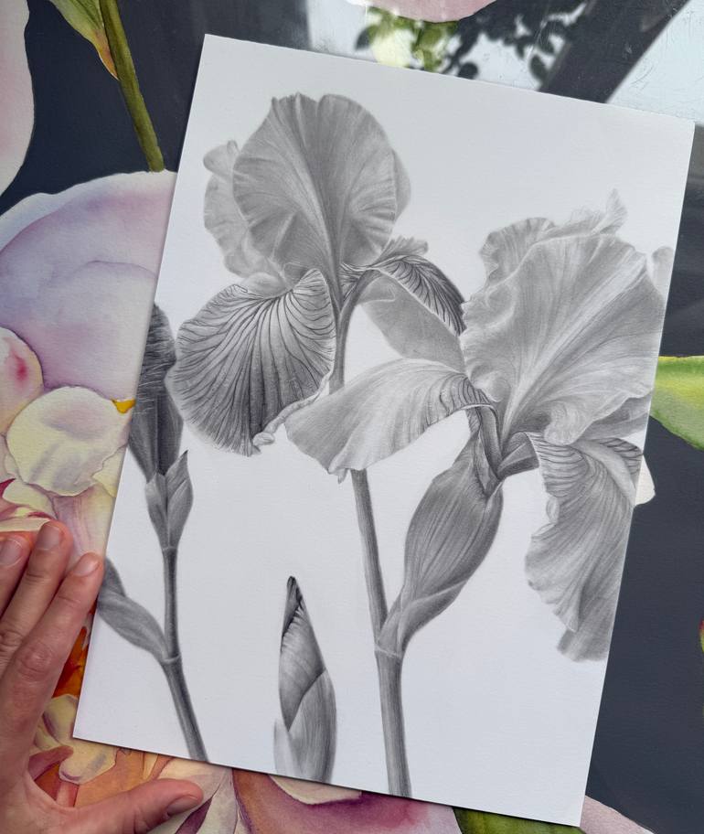 Original Black & White Floral Drawing by Anna Lyashenko