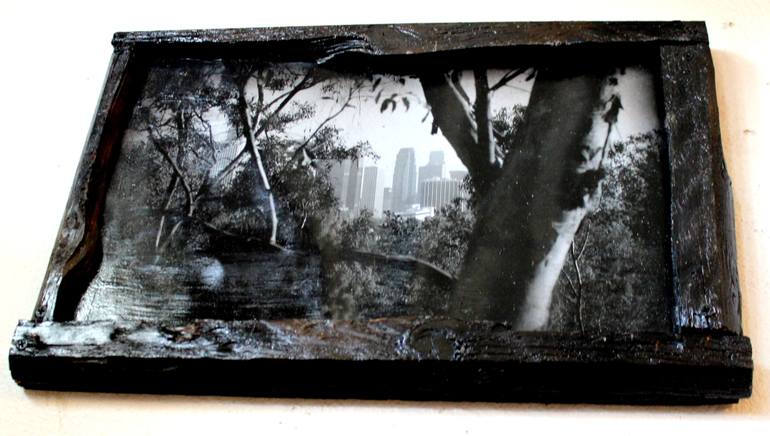 Original Modernism Nature Photography by Kasim Patton