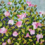 Roses by Florence OULHIOU