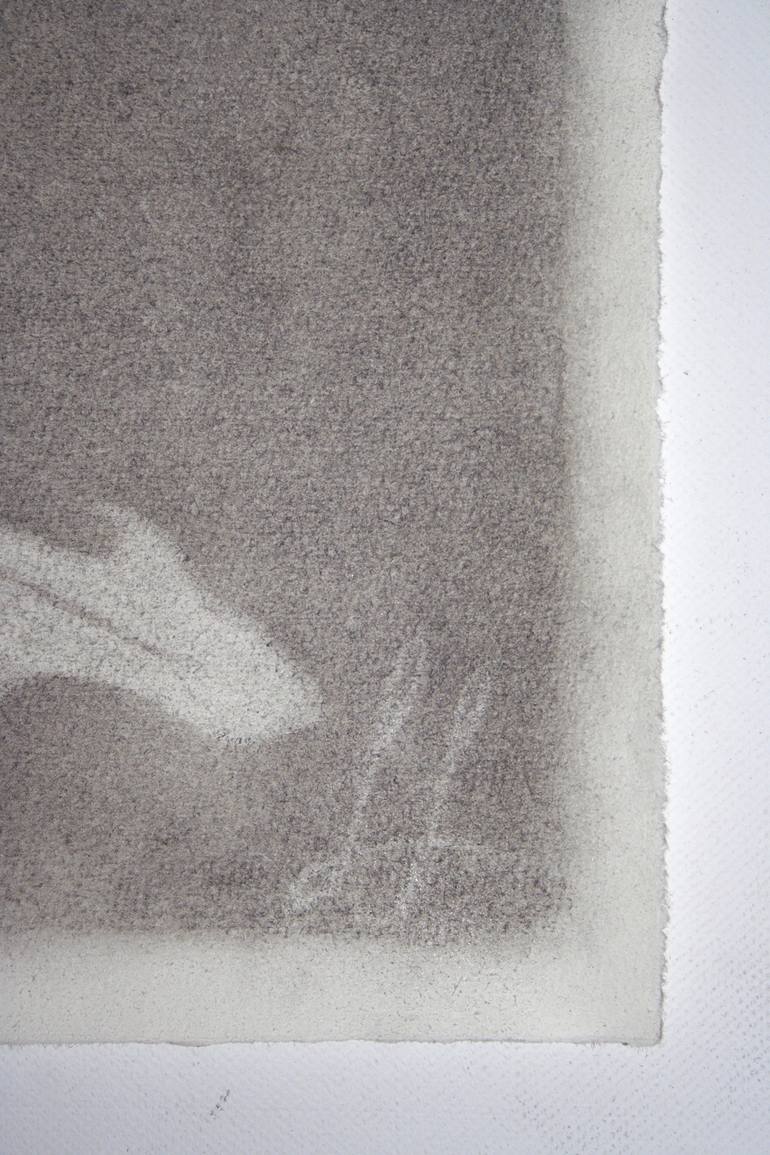 Original Figurative Botanic Drawing by Laura Stötefeld