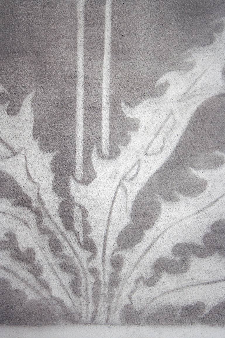 Original Figurative Botanic Drawing by Laura Stötefeld