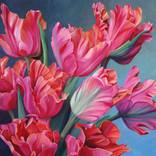 Pink tulips by Ekaterina Vestnikova