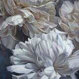 White peonies by Ekaterina Vestnikova