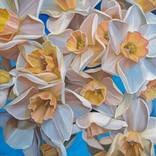 Daffodils by Ekaterina Vestnikova