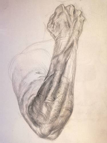Print of Body Drawings by Robin Leavy