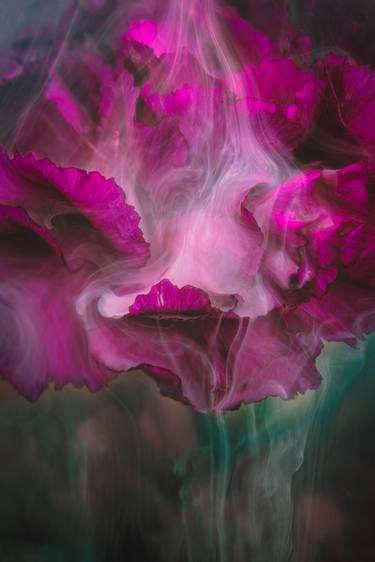 Original Abstract Floral Photography by Hilda Champion