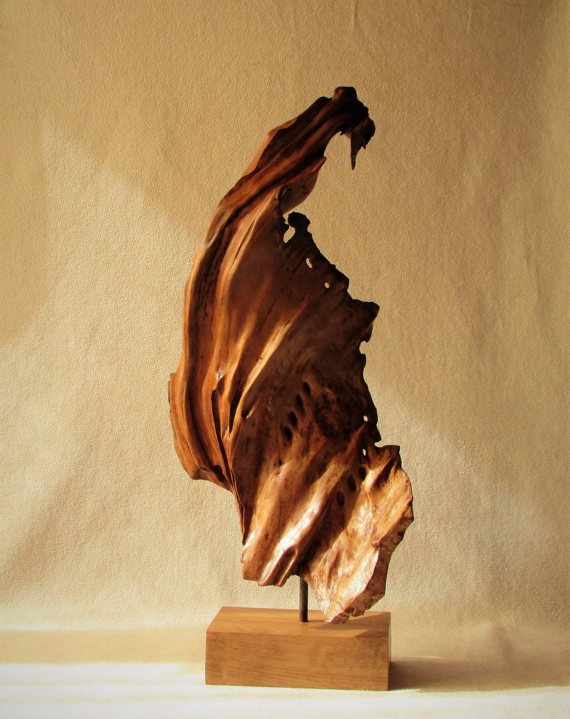 Abstract Sculpture from the Root of an Old Oak Tree. Sculpture by