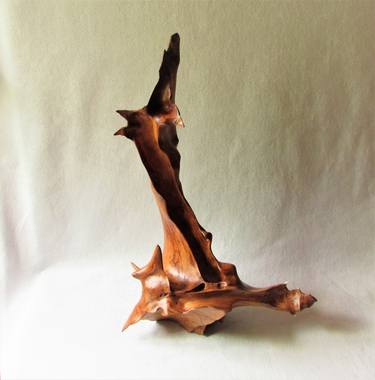 Abstract Wood Art, Natural Old Oak Root, Original Nature Line of Wood. thumb