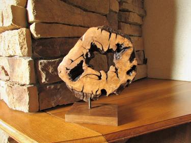 Abstract Art Object from Oak Tree Trunk Slice thumb