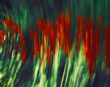 Original Impressionism Floral Photography by Elena Raceala