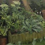 Plants by Tim Patrick Painter