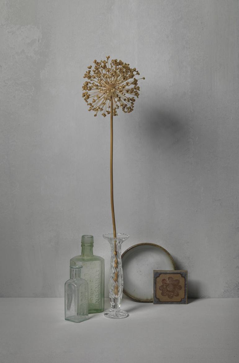 White 07 (Hommage to Irving Penn and Giorgio Morandi) - Limited