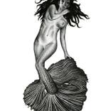 Collection Tattoo Painting