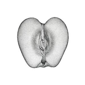 Collection Tattoo Painting