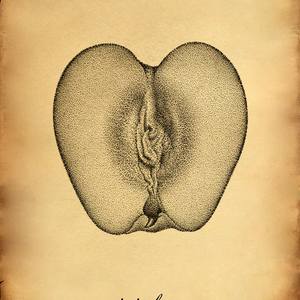 Collection Aphorisms