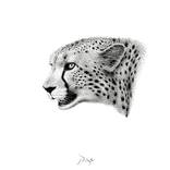 Cheetah by Igor Pose