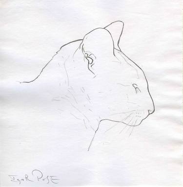 Original Realism Animal Drawings by Igor Pose
