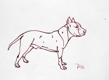 Original Dogs Drawings by Igor Pose